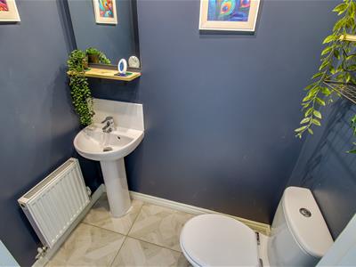 Picture 7
